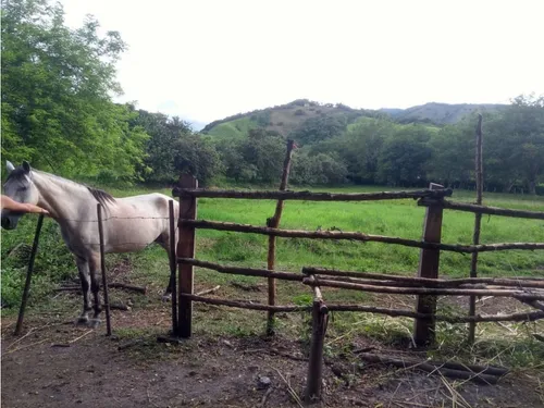 Vendo Lotes En Utica