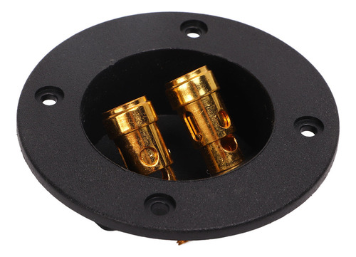 Caja De Subwoofer Con Terminal Para Bocinas Estéreo De 2 V