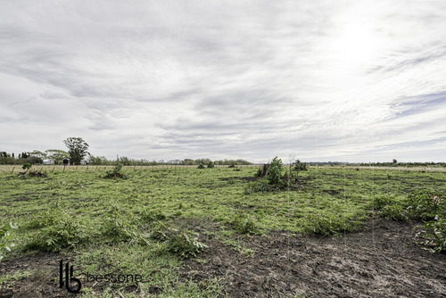 Campo En Jorge Newbery