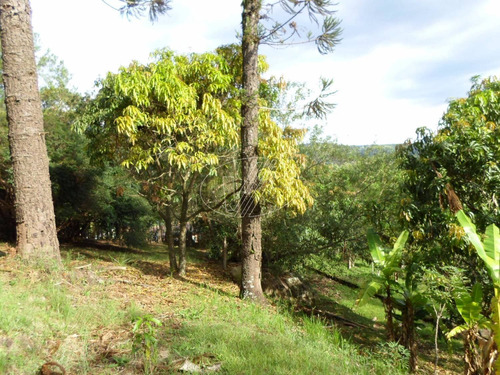 Chácara À Venda Em Joaquim Egídio - Ch225136