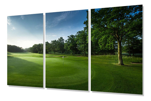 Cuadro Trip 80x120 P3 Campo De Golf Deporte Aire Libre Verde