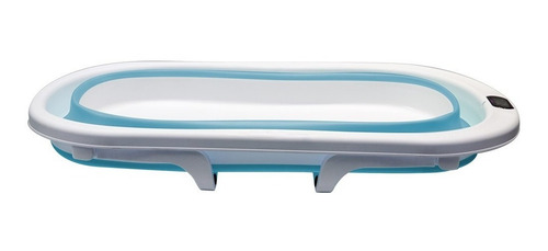 Bañera Para Bebes Avanti Plegable Manija + Red + Termómetro