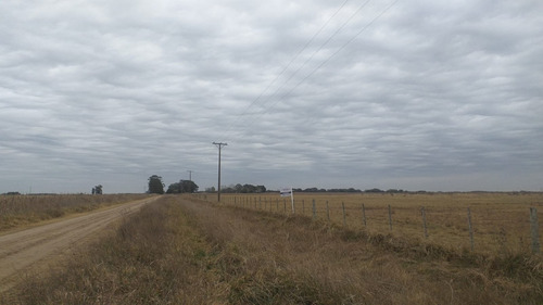 Imagen 4 de 4 de Campo En Venta - Gral Juan Madariaga