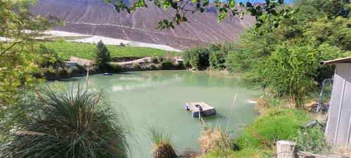 Agrícola En Venta En Vicuña