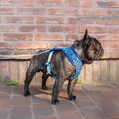 Arnés Pretal Perro Talle Xl Acolchado Con Correa Lola Pets