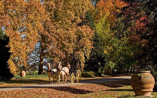 Terreno - Estancia Villa Maria