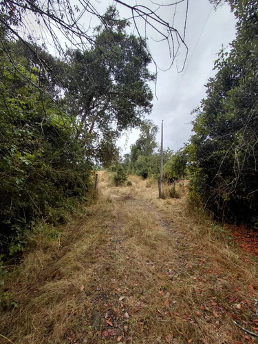 Espectacular Campo De 200 Hectareas En Loncoche