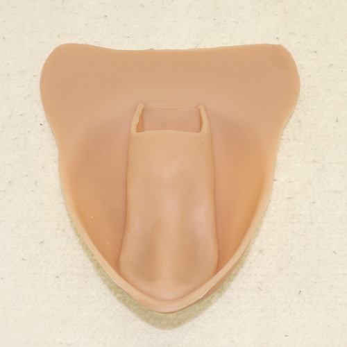 Transexual Camel Toe Silicona Vagina Falso Insertable P