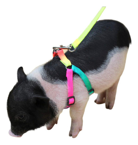 Arnes Ajustable Mini Pig Para Cerdos Y Otros Animales