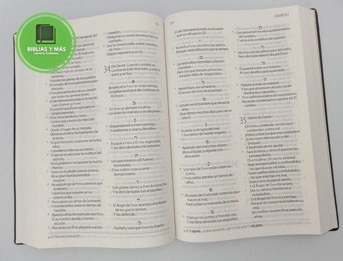 Imagen 6 de 9 de Biblia Textual Iv Edición Vinil Negro