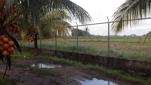 Imagen 5 de 13 de Finca Los Malavares Yaracuy