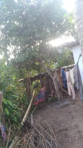 Hermosa Finca, Al Pie De La Carretera, Con Espacio Suficiente Para Hacerle Piscina Y Todo