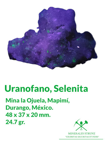 Mineral Raro Radioactivo Uranio Uranofano Fluorescente Uv #1