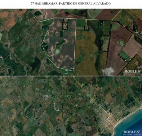 Campo 78 Hectareas Miramar 75% Cultibable Y Ganadero