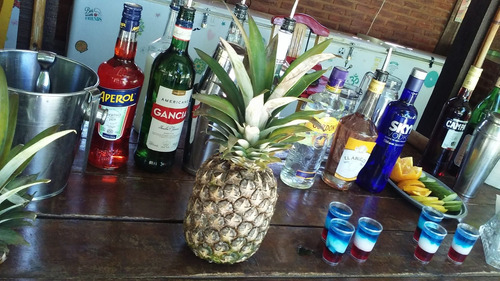 Imagen 4 de 5 de Barra Libre De Tragos Para Eventos Barra Movil Bartender