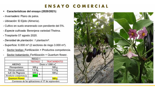 Quantum Flower Npk. 5-22-22 Especialfloración 5kg Agrinova