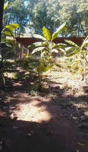 Imagen 10 de 11 de Venta Parcela 30.000mts2 Sector La Aguadita, San Carlos