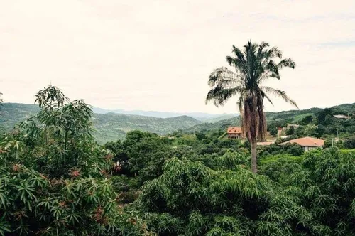 Finca ! Oportunidad ! De Recreo Para Vivir O Alquilar