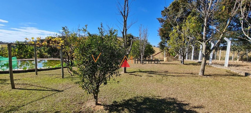 Imagem 11 de 15 de Fazenda Para Venda Em Crucilândia - 70509_2-1223566