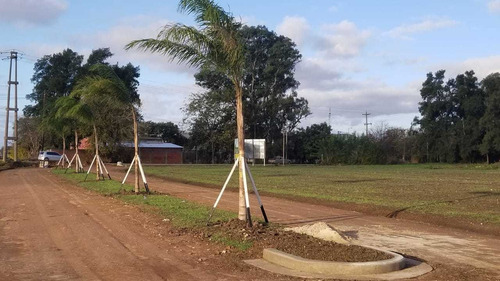 Imagen 4 de 8 de Sarmiento Chico Loteo Venta En Lujan