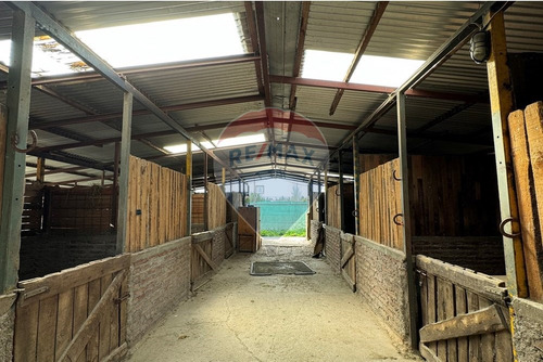 Se Vende Parcela Batuco De 8300 M2