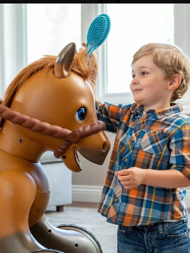 Caballo Pony Electrico 12 V Envio Gratis