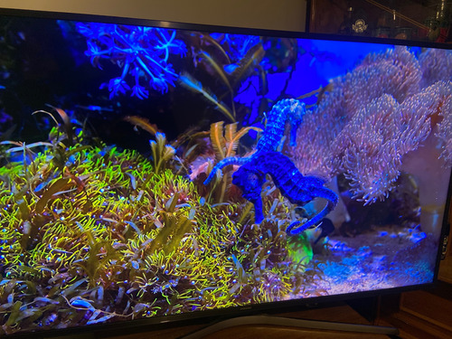 Pantalla Samsung 55 Uhd Smart Tv 4k Solo Venta En Cdmx (Usado)