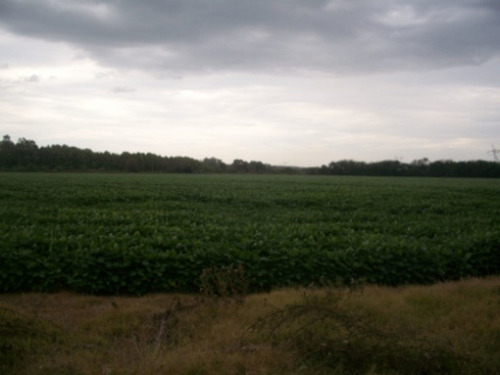 Imagen 7 de 12 de Venta Campo 19 Hectareas En Exaltacion De La Cruz