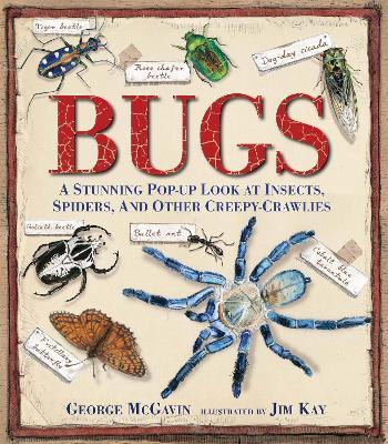 Libro Bugs : A Stunning Pop-up Look At Insects, Spiders, ...