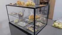 Comprar Vitrinas Exhibidoras. Diferentes Modelos.ideal Uso Comercial