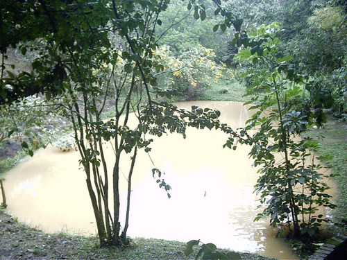Imagem 7 de 9 de Chácara À Venda Em Dois Córregos - Ch000720