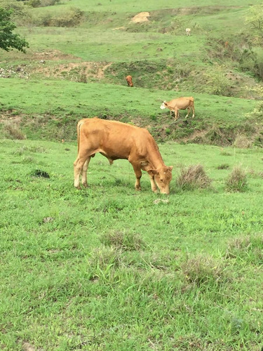 Imagen 23 de 23 de Rancho Las Buganvilias! Dream Opportunity!