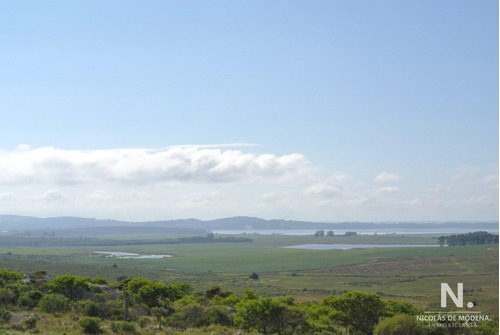 Campo En Pan De Azúcar