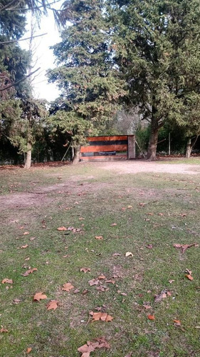 Imagen 18 de 21 de Casa - Parada Robles