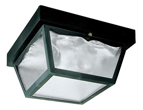 Westinghouse Lighting 6682300 Panel De Vidrio Transparente P