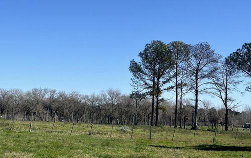 Venta Lotes - Estancia Carabassa | Vco Propiedades