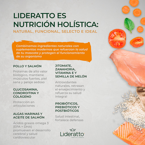 Alimento Natural Lideratto Perro Senior Pollo Y Salmon 2k