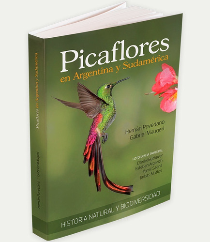Picaflores En Argentina Y Sudamérica Povedano Y Maugeri Aves