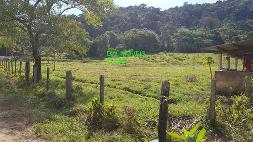Imagem 9 de 30 de Juquiá/sitio Com Pupunha/ Pasto E 05 Lagos Para Pesqueiro - 04857 - 34121206