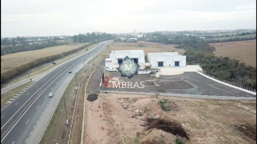 Imagem 8 de 8 de 4 Galpões |margens Da Rod. Marechal Rondon, Km 135 - Mb11869