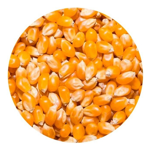 Maíz Palomero Jumbo 500 Gr. Bam Boo! Lifestyle