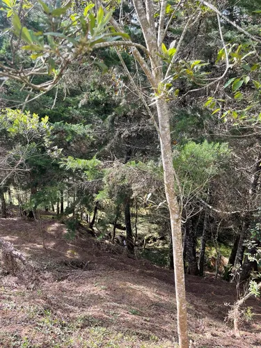 Lote En Venta En El Retiro Vereda Pantanillo. Cod V15613