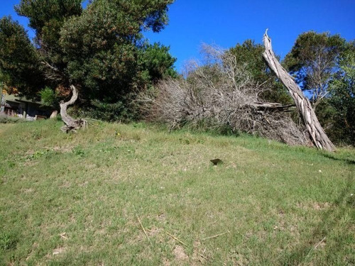 Imagen 5 de 8 de Terreno En Venta En Las Gaviotas