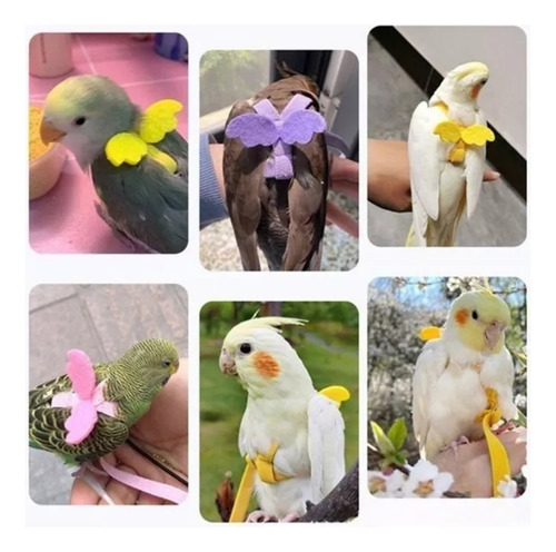 Arnés Y Correa Para Pájaros, Periquitos, Cacatúas, Loros Y C Color Rosa
