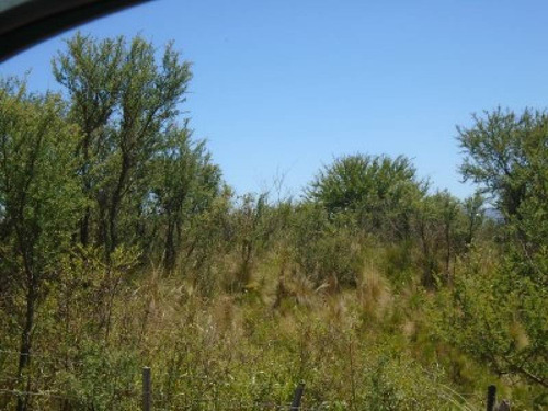 Terrenos O Lotes Venta Villa Cura Brochero
