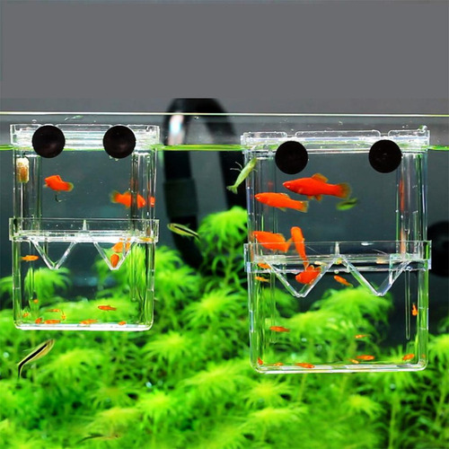 . Caja De Aislamiento De Peces 4 Piezas