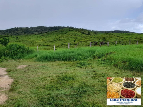 Imagem 4 de 14 de Fazenda À Venda Em Anapu - Pa - De 400 Alqueirões (pecuária) - 1661