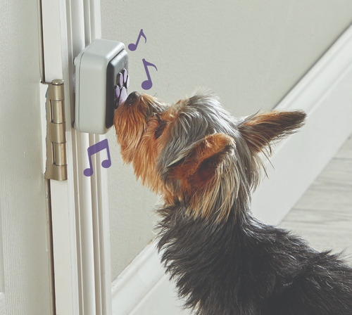 Botones Adiestramiento Talking Pet Timbre Puerta Perros