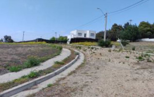 Industrial En Venta En Puchuncaví