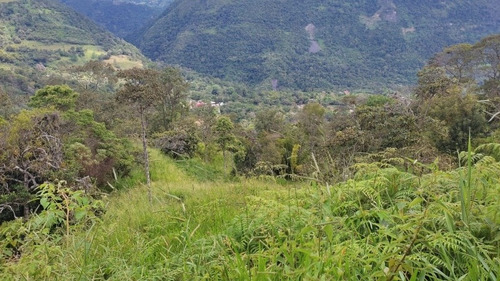 Imagen 2 de 9 de Venta Finca 2 Horas De Bogota